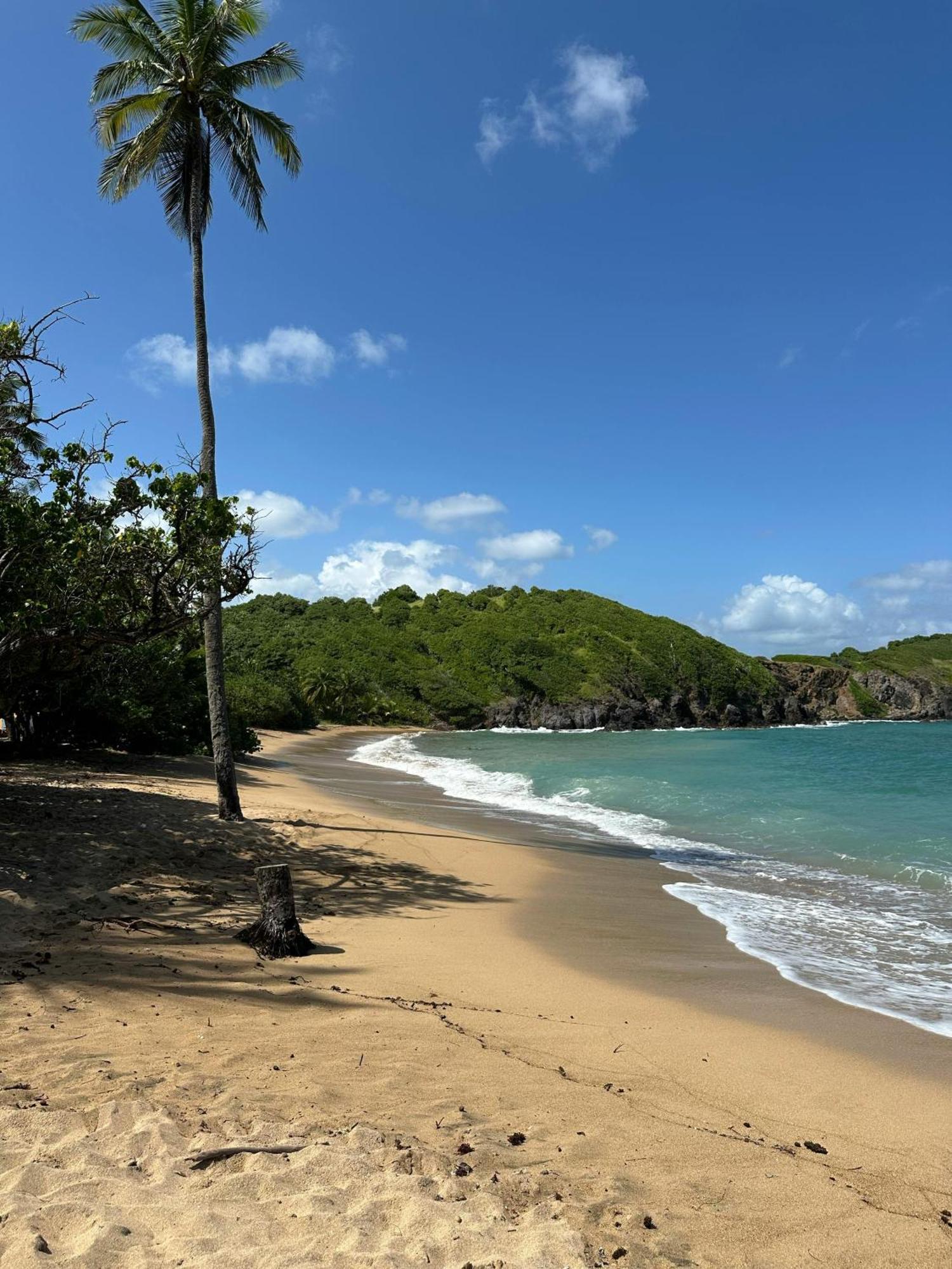 Residence Au Coeur Des Iles Martinique 23 圣吕斯 外观 照片